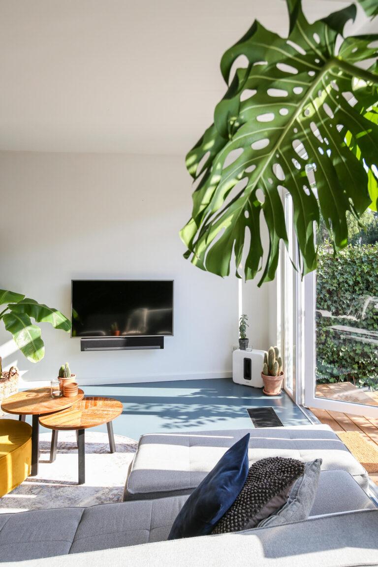 martine plant